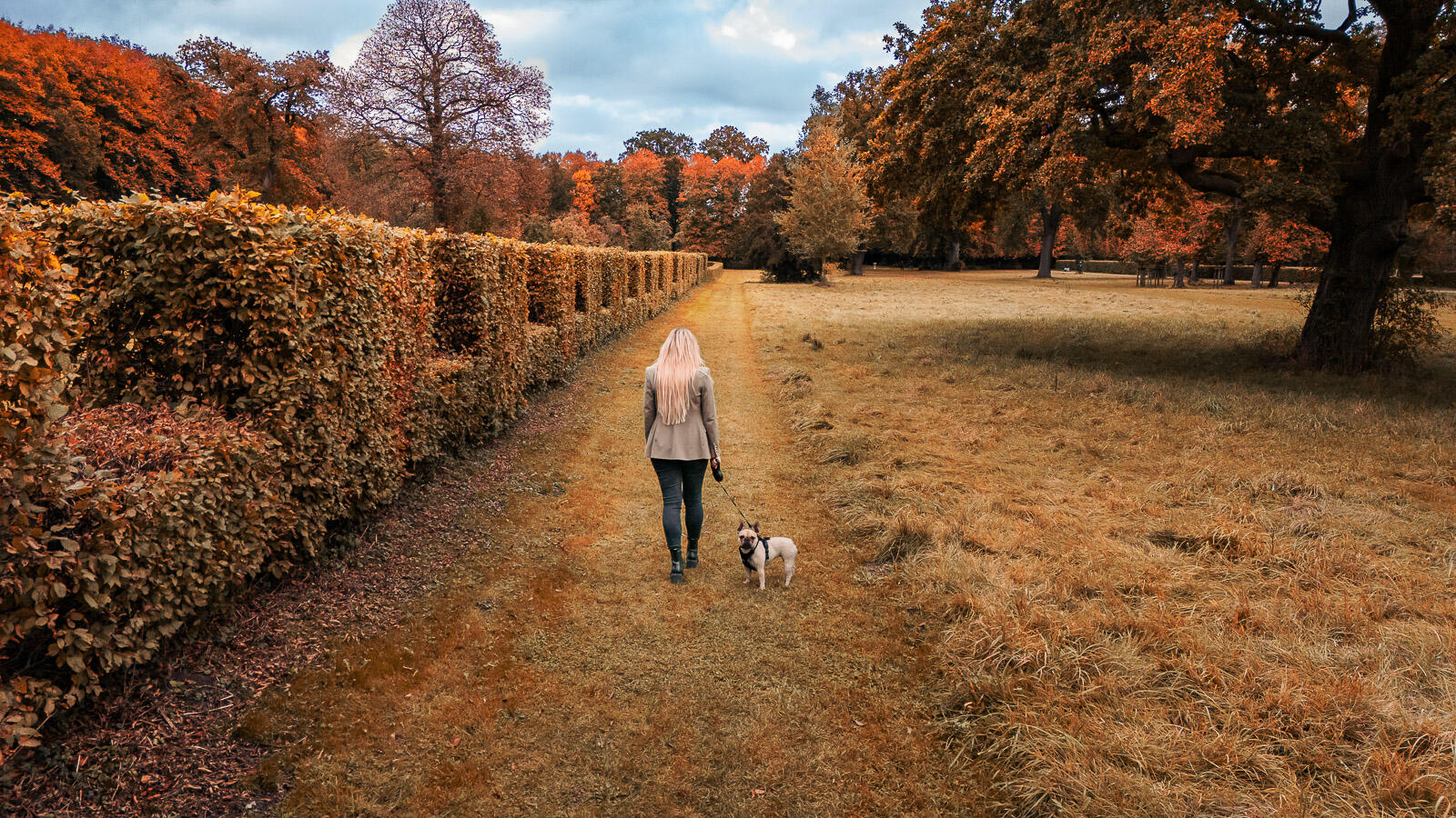 Frau mit Hund beim herbstlichen Portraitshooting im Park in Schleswig-Holstein – natürliche Outdoorfotografie von Momenttraum Fotografie